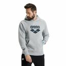 Arena bluza unisex Team Hooded szara