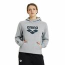 Arena bluza unisex Team Hooded szara