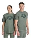 Arena koszulka sportowa unisex T-shirt Icons