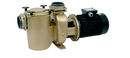 PAHLEN POMPA P85 PREFILTR BRĄZ 400V 120 m3/h