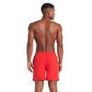 Zoggs szybkoschnące spodenki kąpielowe Penrith